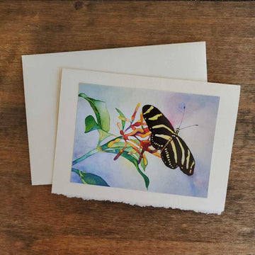Zebra Long Wing Butterfly Card