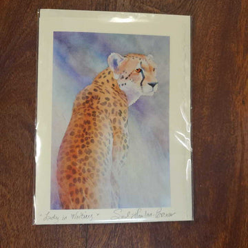 Cat on a Hot Pink Pillow Card