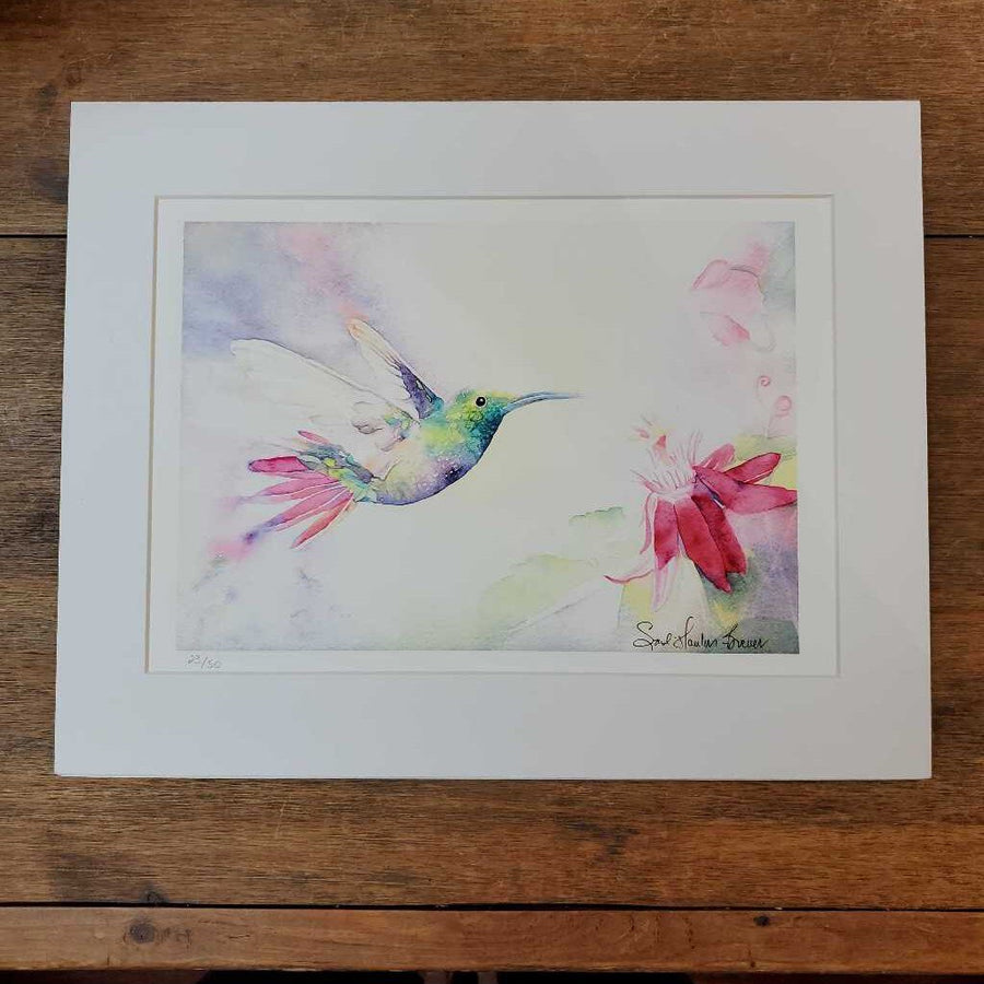 Green Breasted Mango Hummingbird Giclee 11 x 14