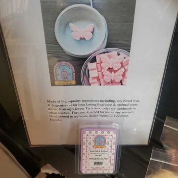 Clamshell Bars Wax Melts - Sea Salt & Orchid