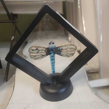 Corazones (Hearts) Lg Dragonfly