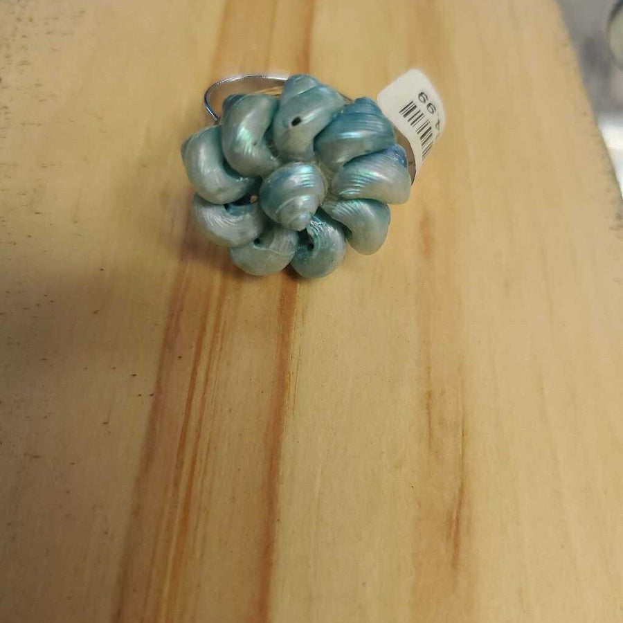 Earring Ring