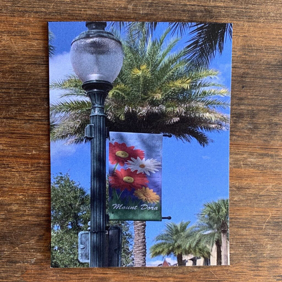 Mount Dora Banner Magnet