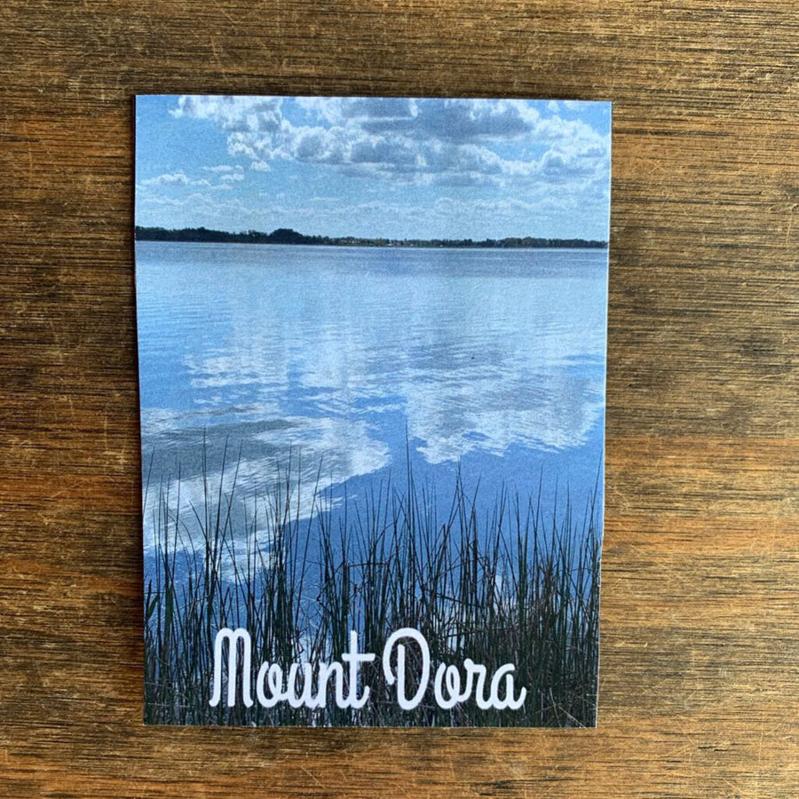 Lake Dora Magnet