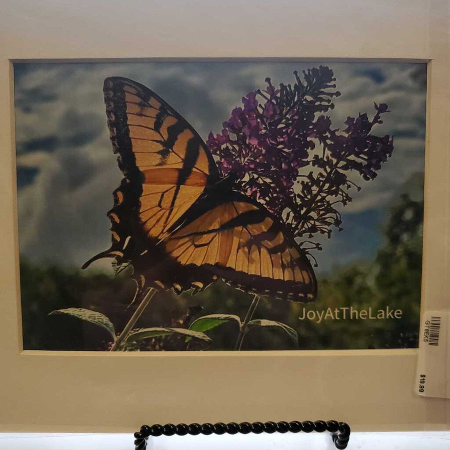 Butterfly Print 5X7