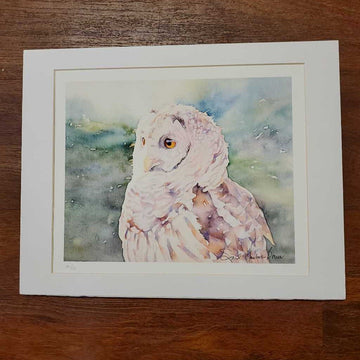 Owl Giclee 11 x 14