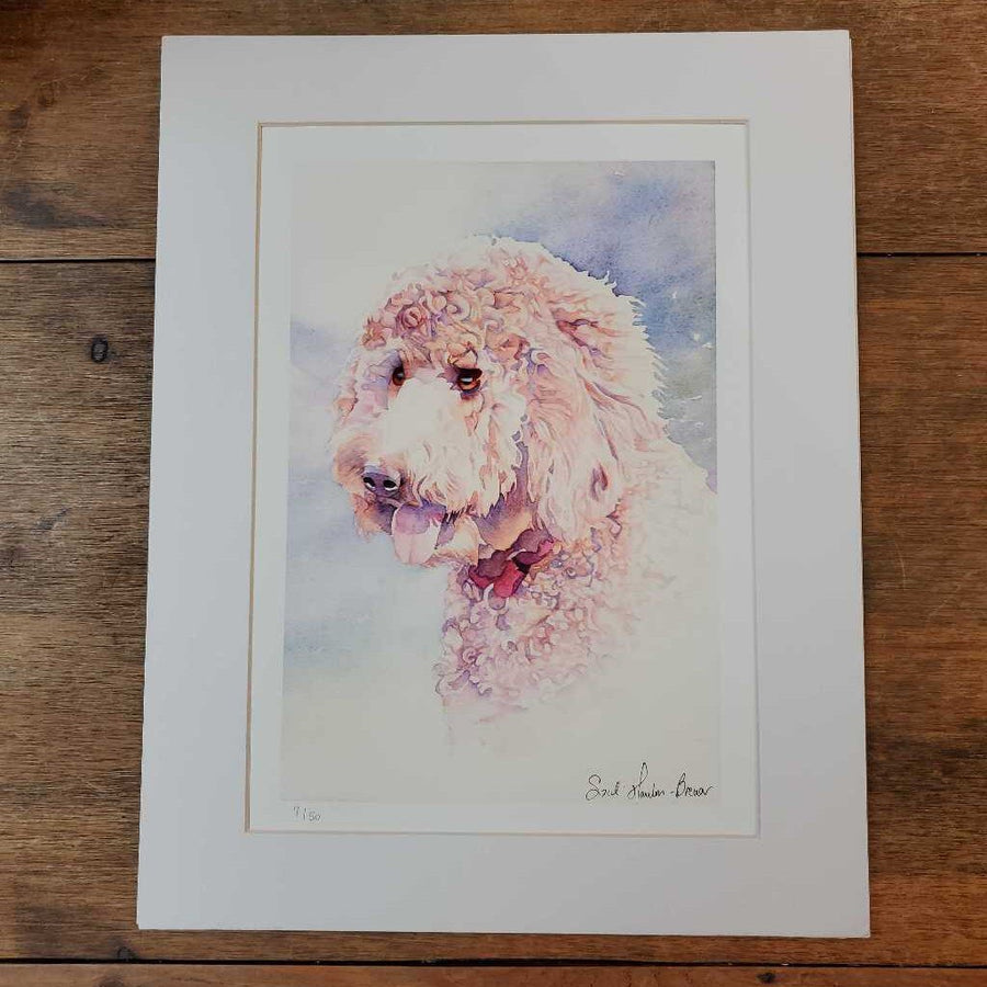 Labradoodle Giclee 11 x 14